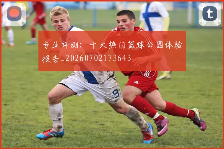 专业评测：十大热门篮球公园体验报告_20260702173643