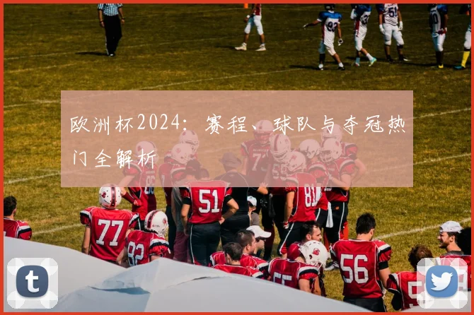 欧洲杯2024:赛程、球队与夺冠热门全解析